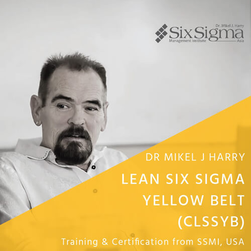 Yellow Belt